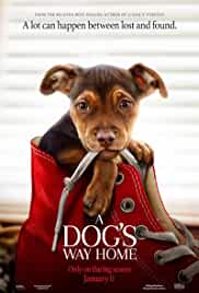 A-Dogs-Way-Home-2019-Hindi-Dubbed-HdRip