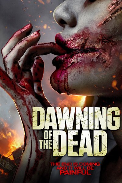 Dawning-of-the-Dead-2017-Dub-Hindi-HdRip