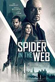 Spider-in-the-Web-2019-Dubb-in-Hindi-HdRip