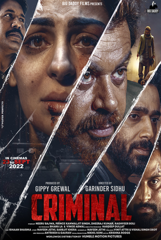 Criminal-2022-Punjabi-HdRip